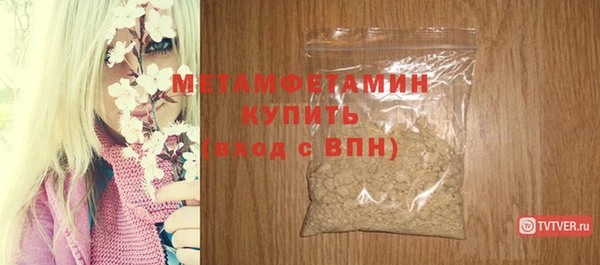 прущие грибы Беломорск
