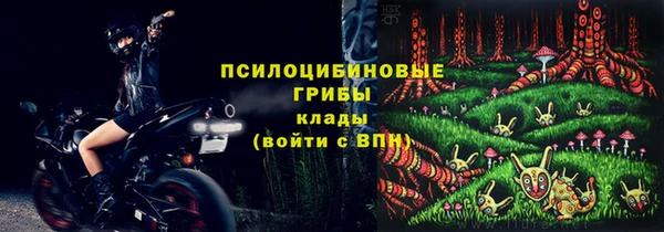 мет Кукмор