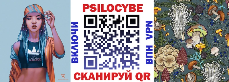 Псилоцибиновые грибы Psilocybine cubensis  Афипский 